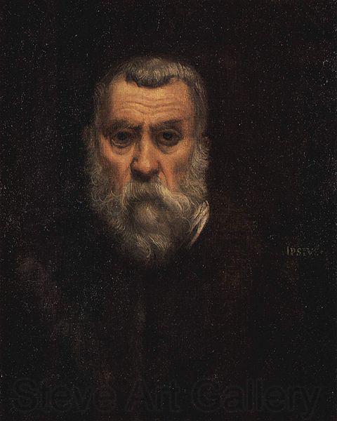 Jacopo Tintoretto Self-portrait Norge oil painting art